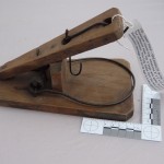 This larger version of the Breakback mouse trap