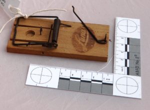 ‘LUNA’ mouse trap with beechwood base and bait holder