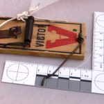 VICTOR mouse trap with softwood base