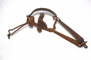 SOLD - Unusual Victor Gin Trap (8059)