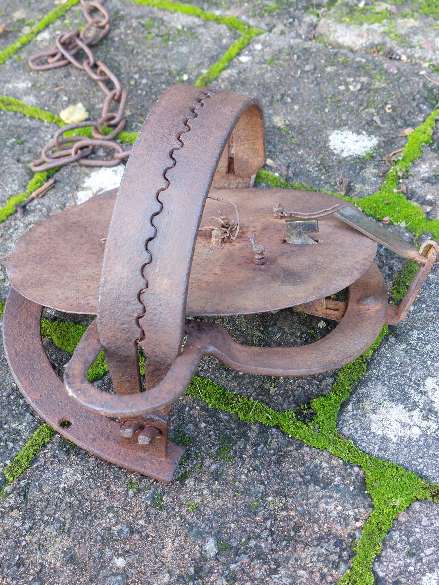 7" Inch Round Gin Trap (4059)