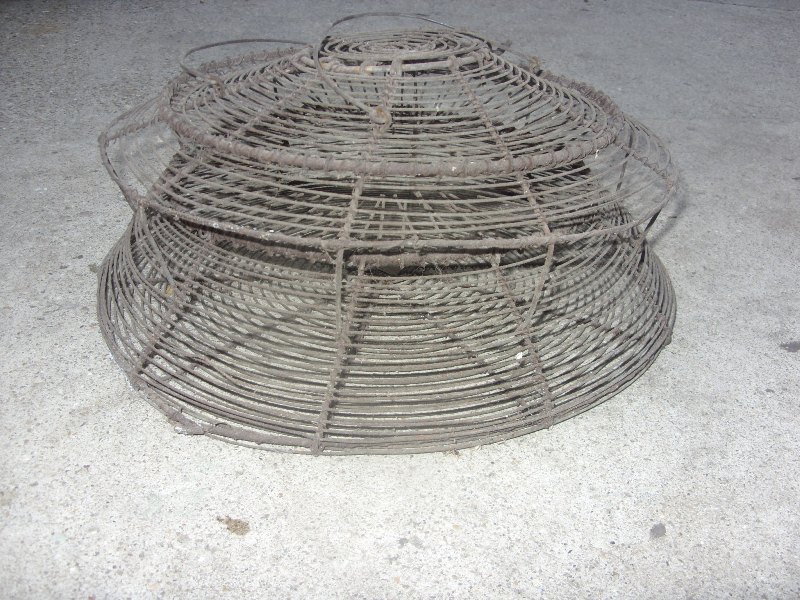Vintage Traps  Wire Crayfish TrapVintage Traps