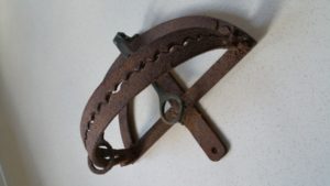 Sold H Lane Egg Trap  (4011)