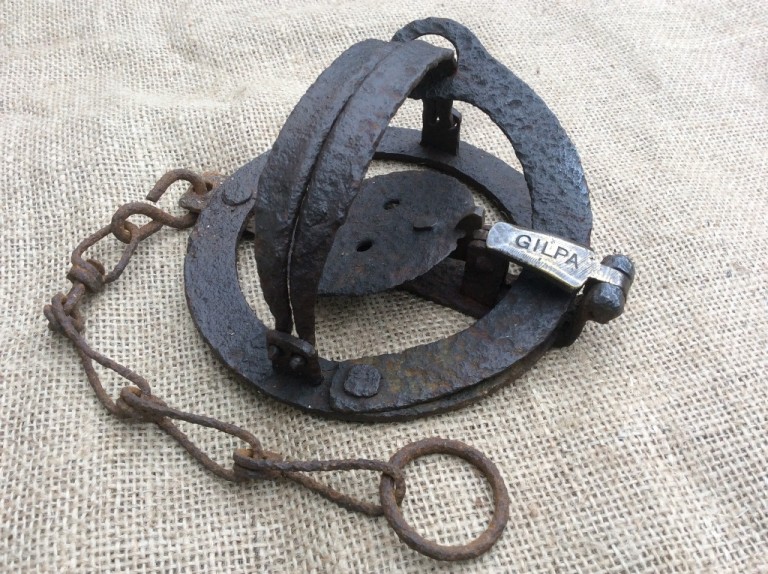 Vintage Traps for Sale GILPA Pole Trap 4 1/2 inch jawsVintage Traps