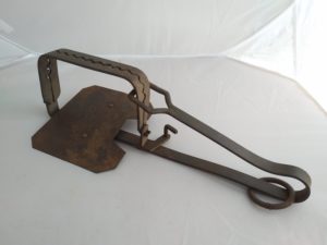 SOLD Large LEOMINE Gin Trap 7.5" Jaws(ref 7210)