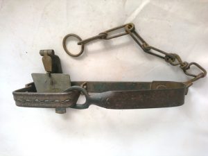 SOLD 4" Gin Trap Stamped "XX" (7258)