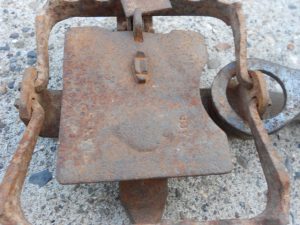 SOLD Lanes ACE 4" rabbit gin trap (3081)