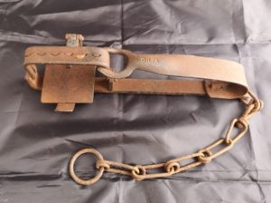 SOLD - GILPA flat spring rabbit gin trap (7268)